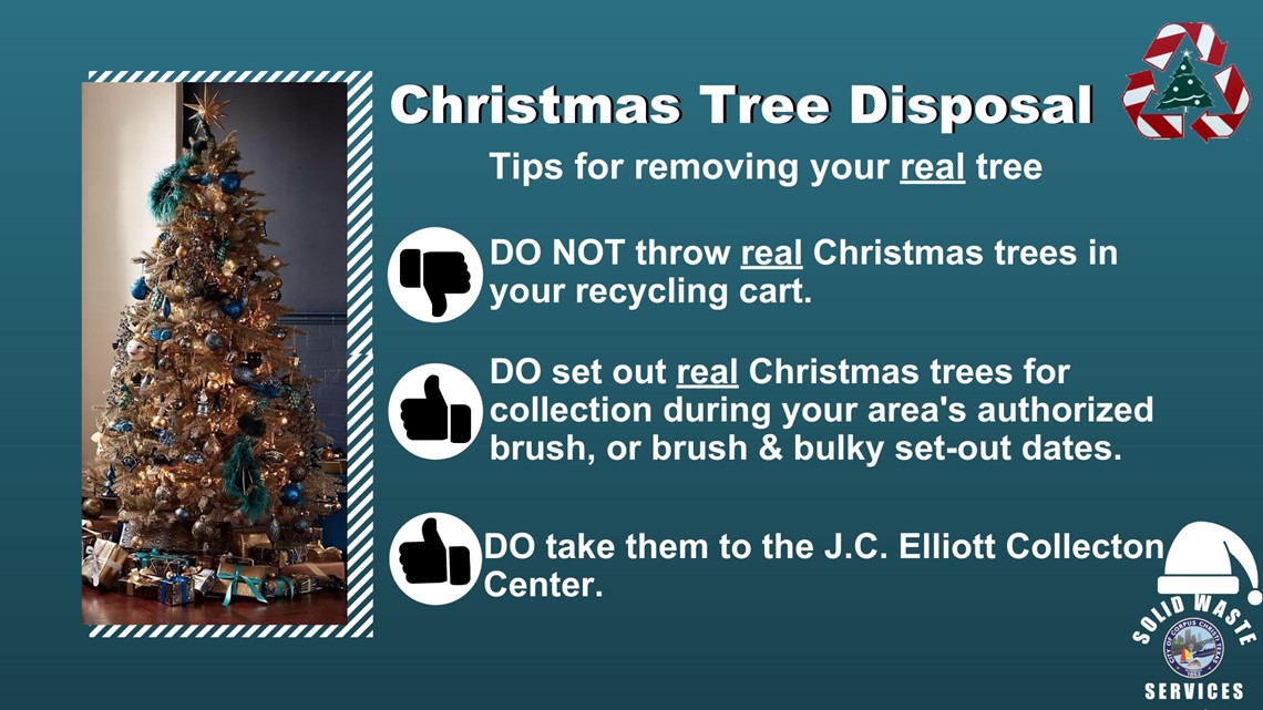 How to dispose, recycle real Christmas trees in Corpus Christi