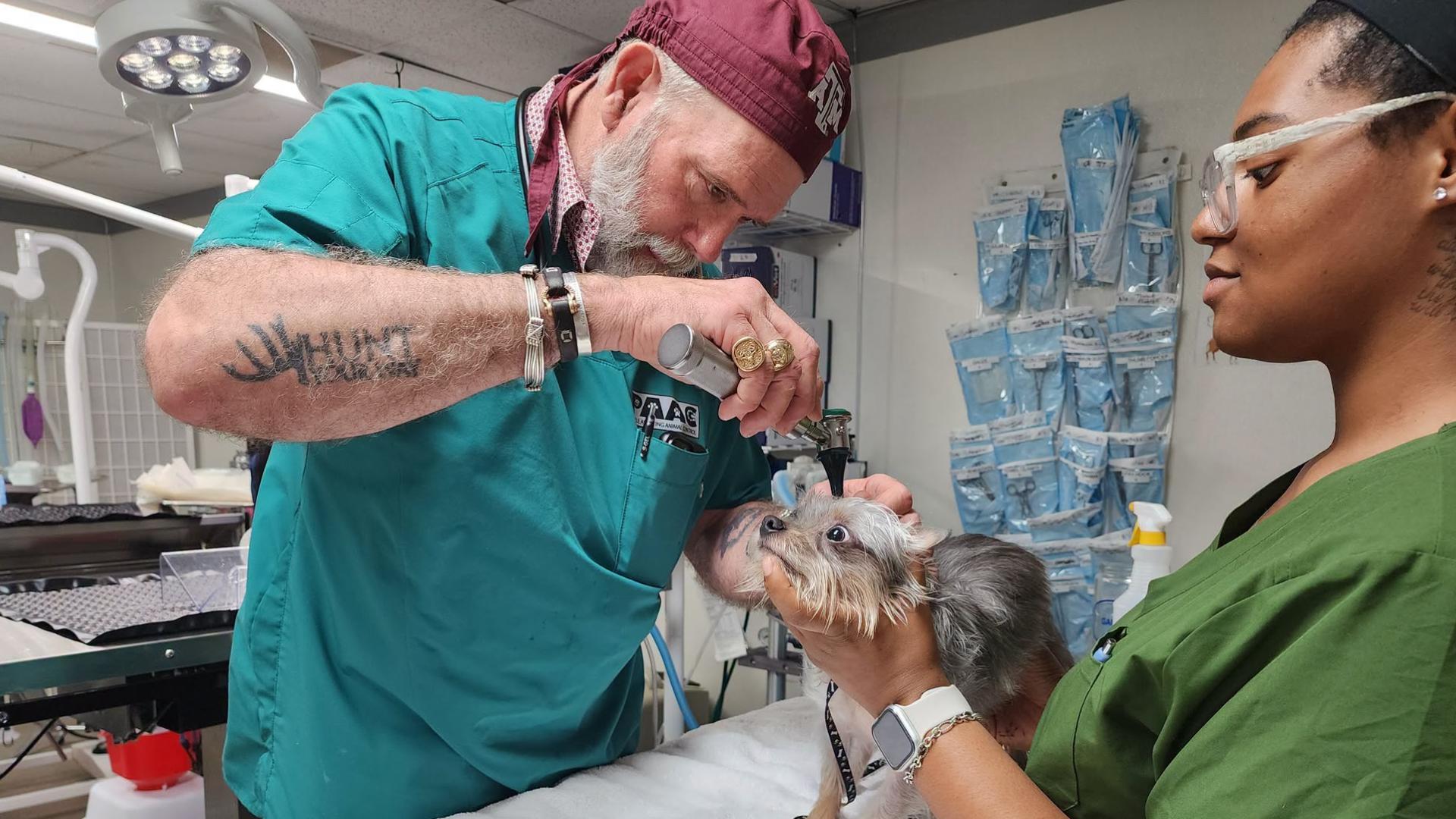 PAAC expands free screwworm prevention effort for South Texas pets