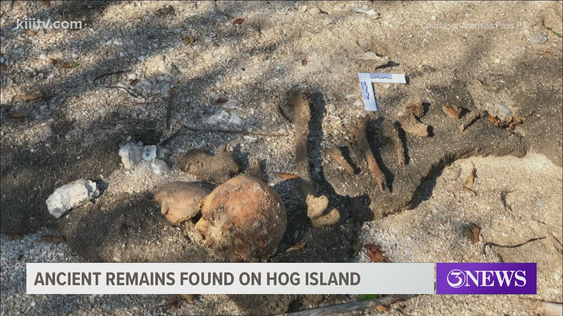 The human remains were found by a fisherman on the island on August 3.