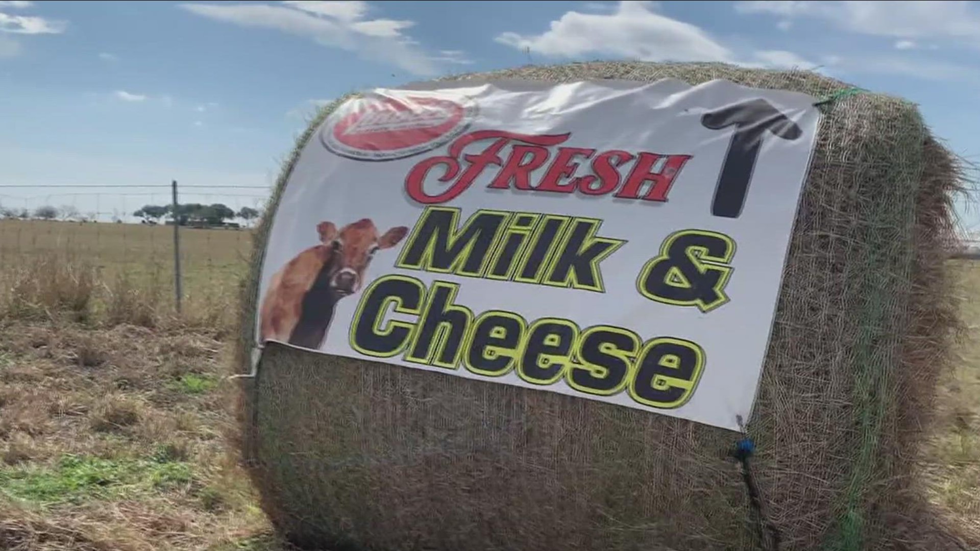 Here's why this South Texas dairy sells milk in yellow cartons