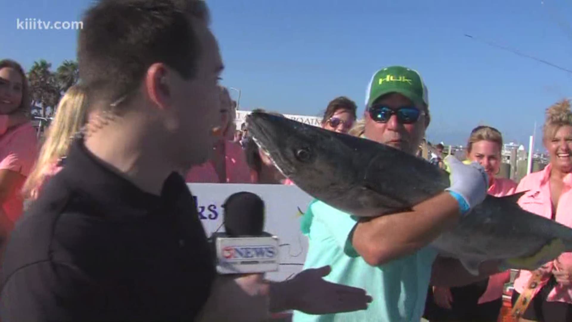 The 83rd annual Deep Sea Roundup in Port Aransas is underway with the fishing tournament recovering nicely from Hurricane Harvey with over 250 more participants than last season.
