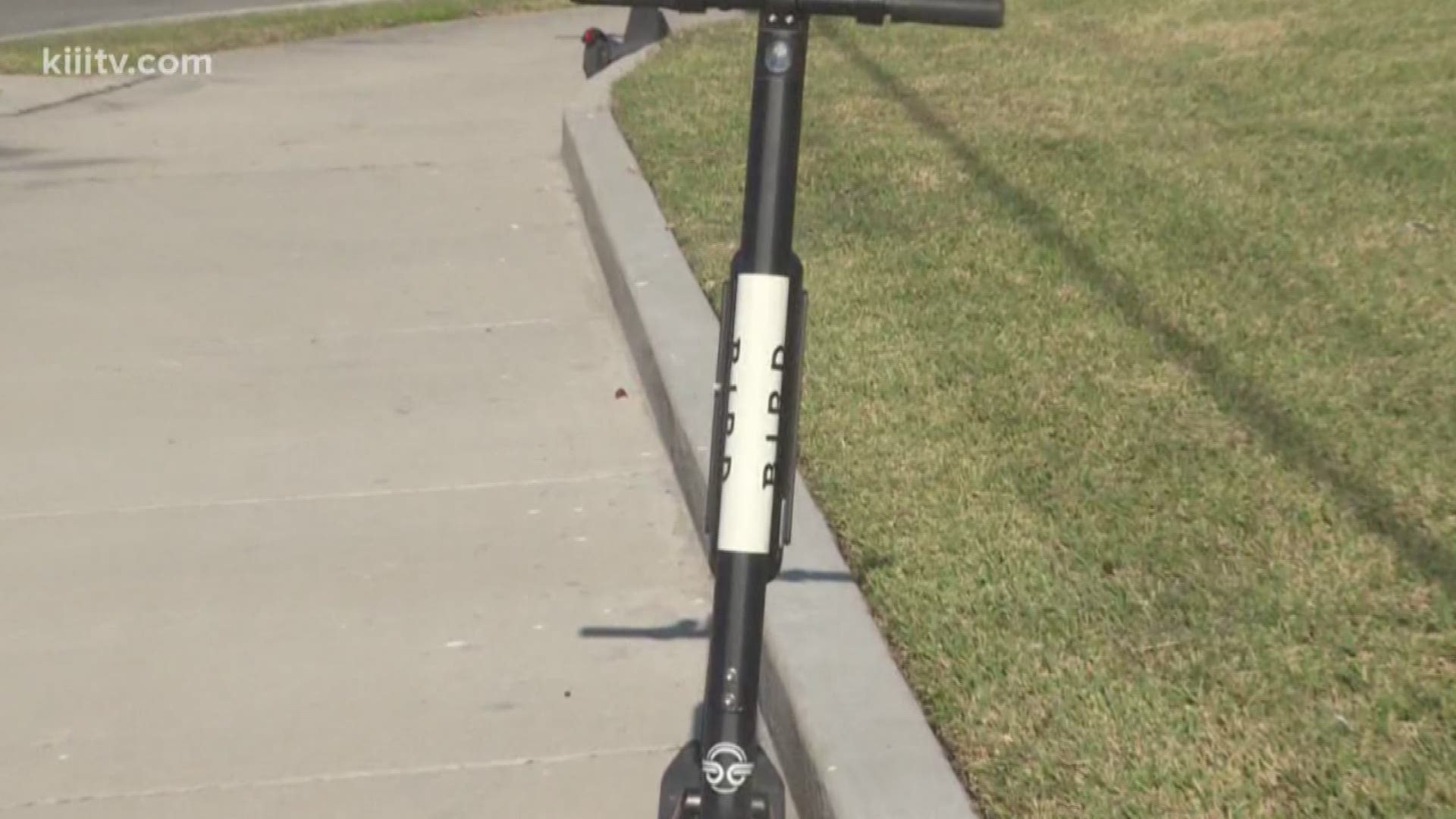 Bird, one of three popular scooter rental companies that came to Corpus Christi last year, has decided to move on.