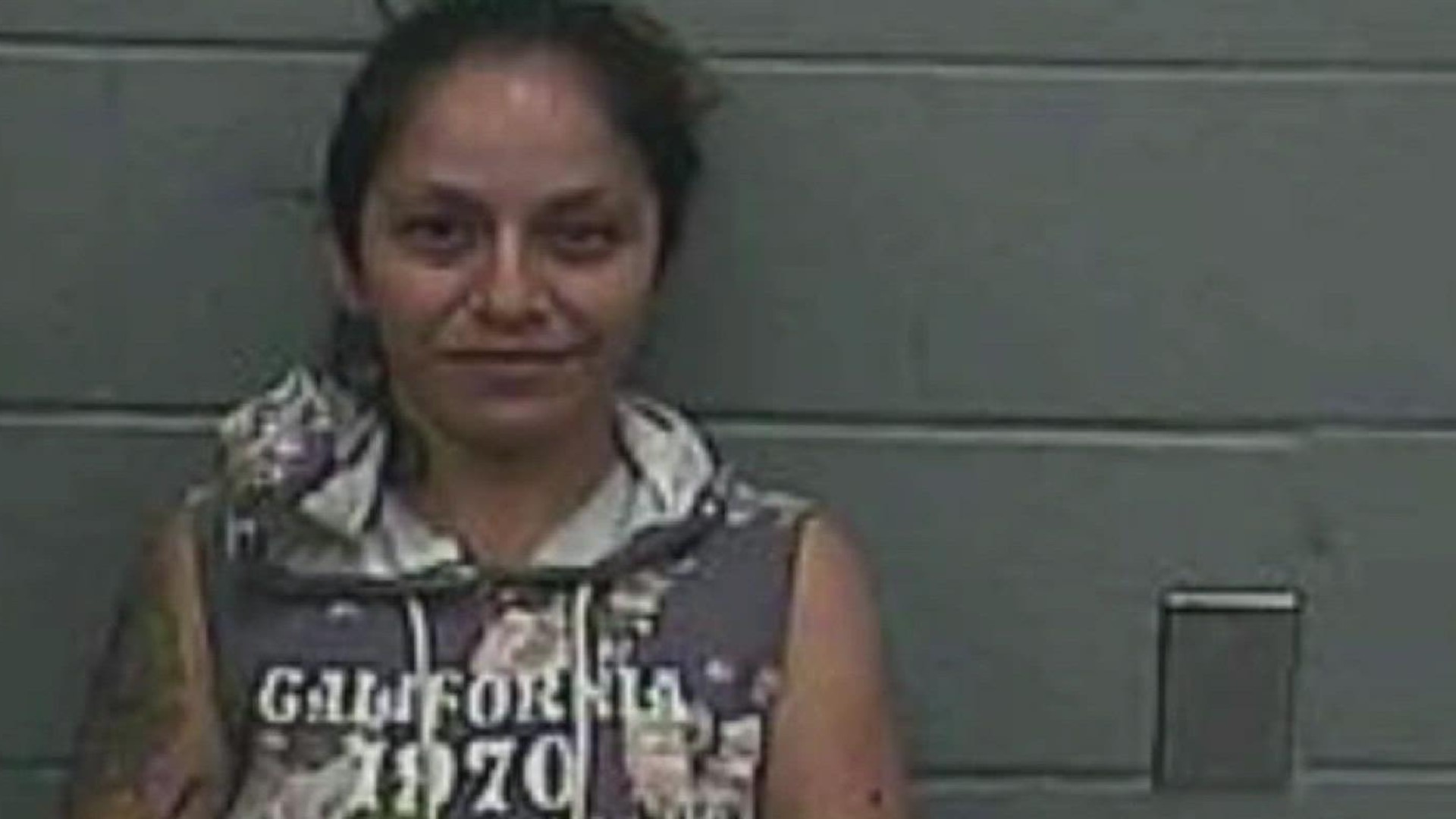 The driver, Valerie Vasquez, was arrested and faces multiple charges including aggravated assault on a public servant, and theft of property of over $30,000.