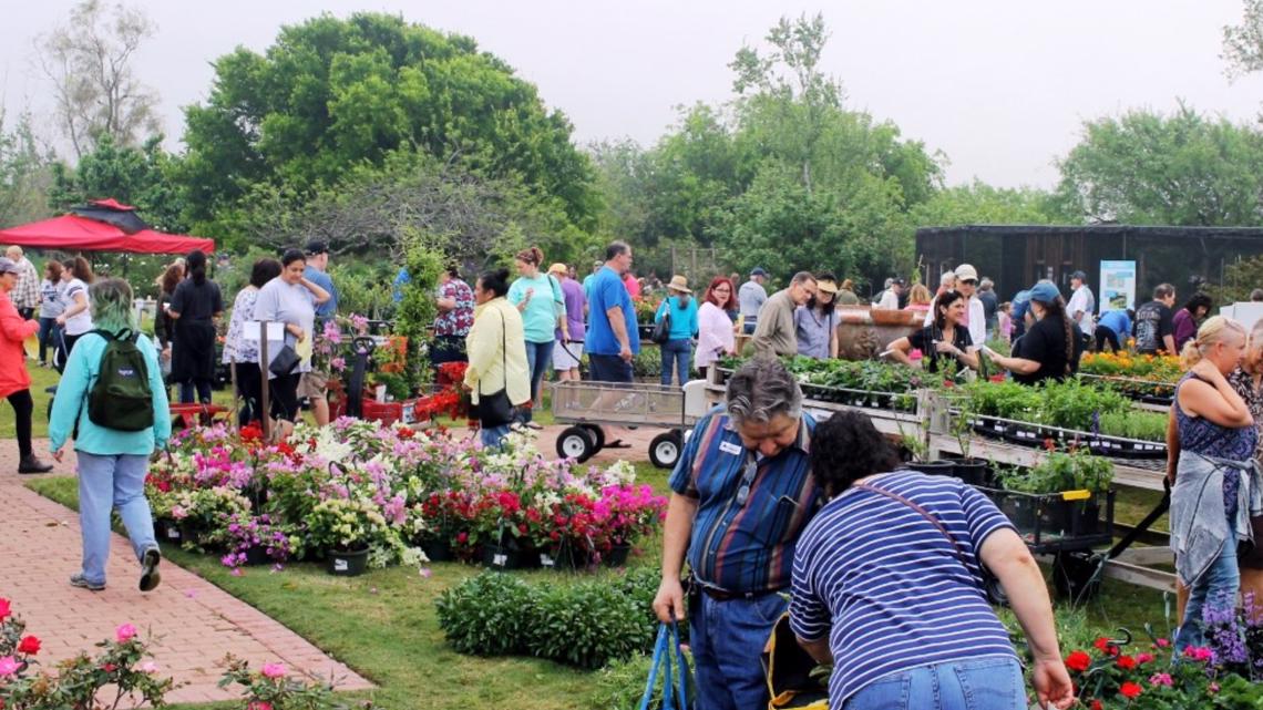 Big Bloom Mega Plant Sale at South Texas Botanical Gardens Apr. 1 - Vimarsana News