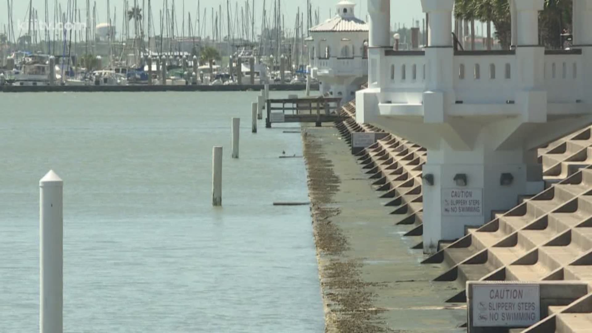 The future of the seawall was the topic of a workshop Thursday with new Corpus Christi City Council members.