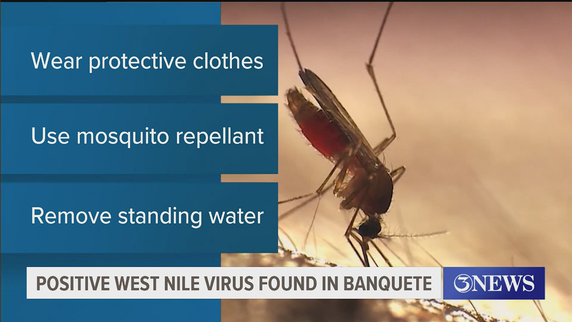 County Vector Control will be spraying outside Banquete city limits and will continue to monitor collected test samples.