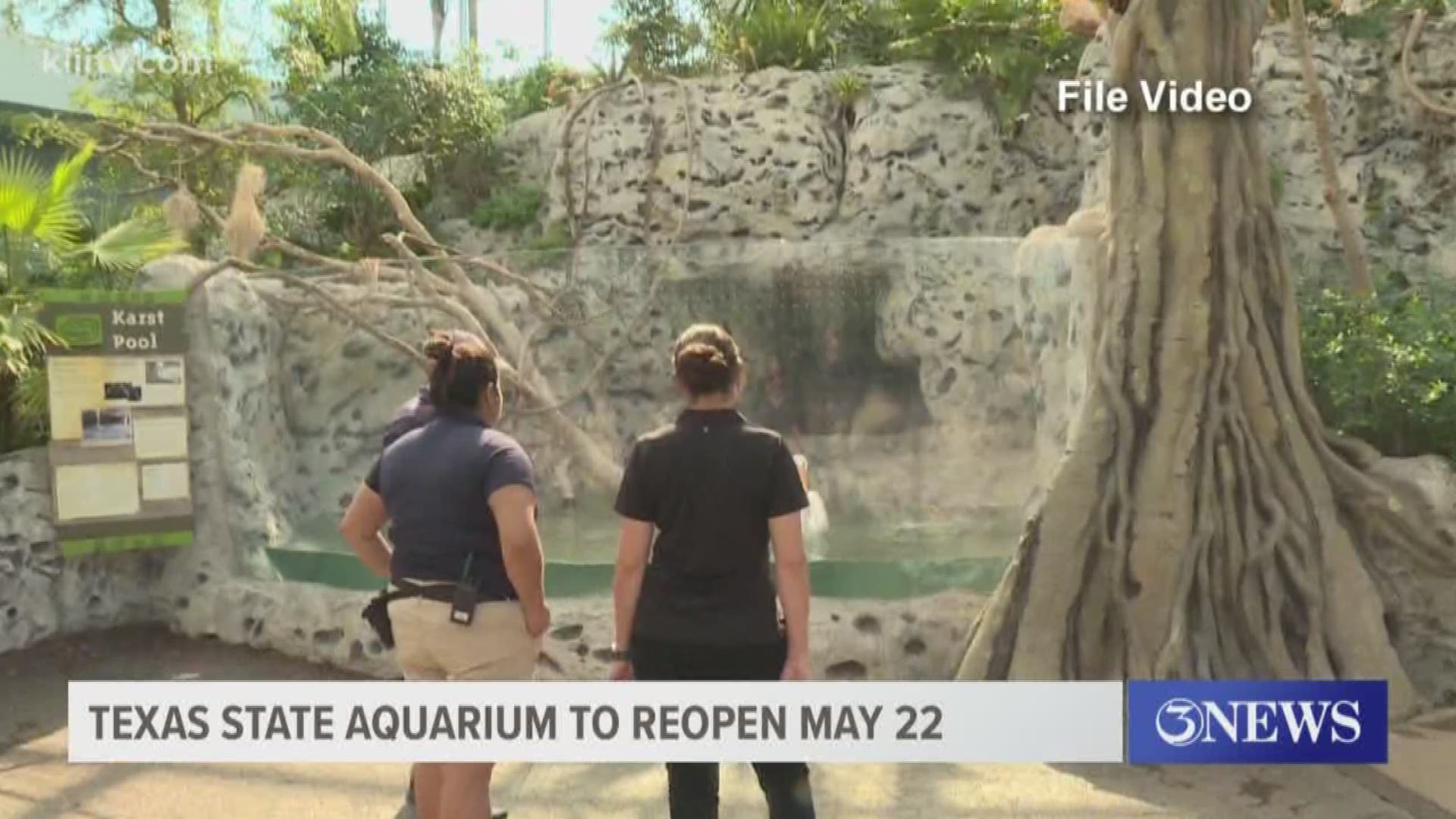 Aquariums around the state will be allowed to reopen Friday, and that includes our very own Texas State Aquarium in Corpus Christi.