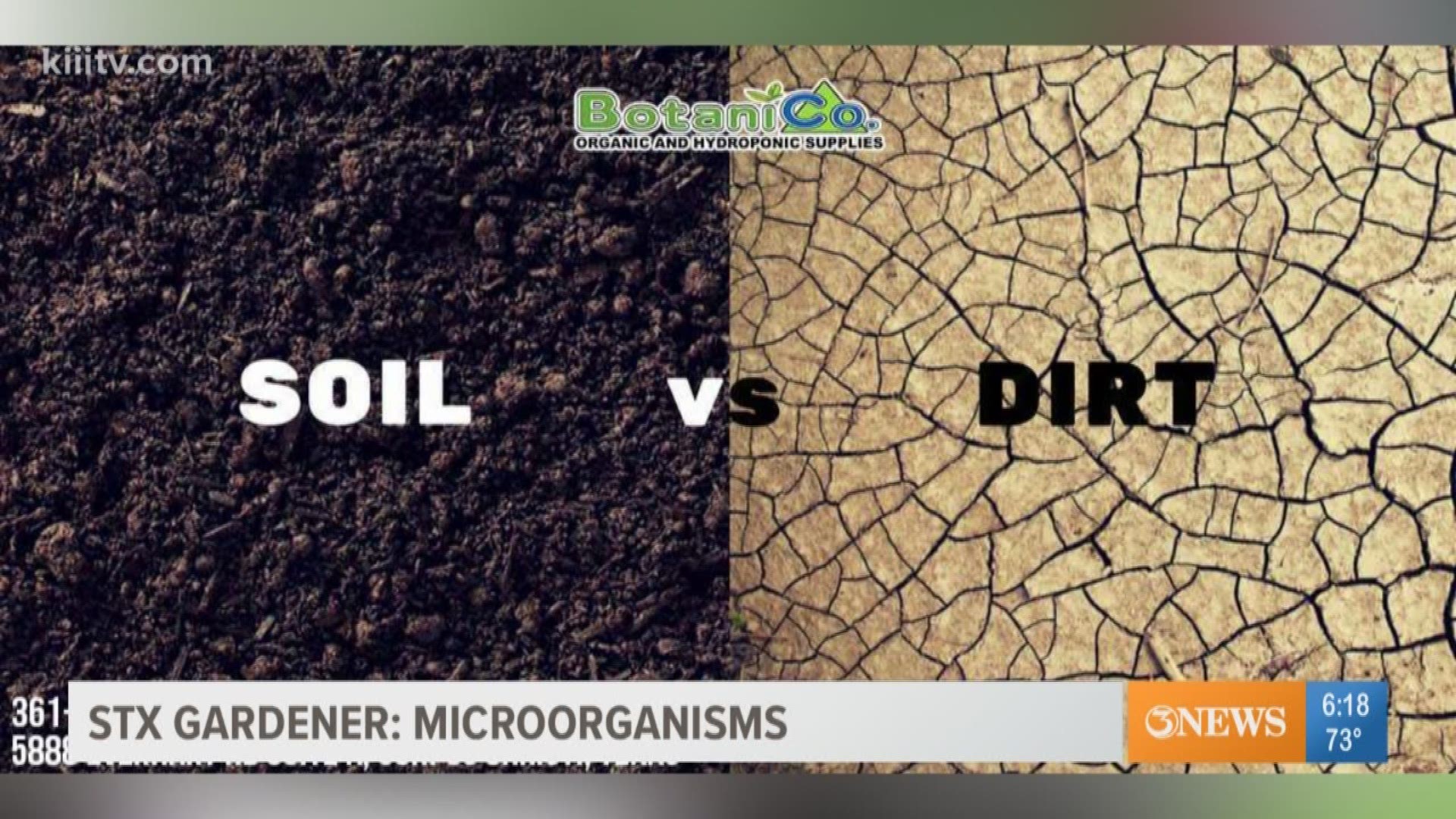 When to add dry or liquid microbes to your garden