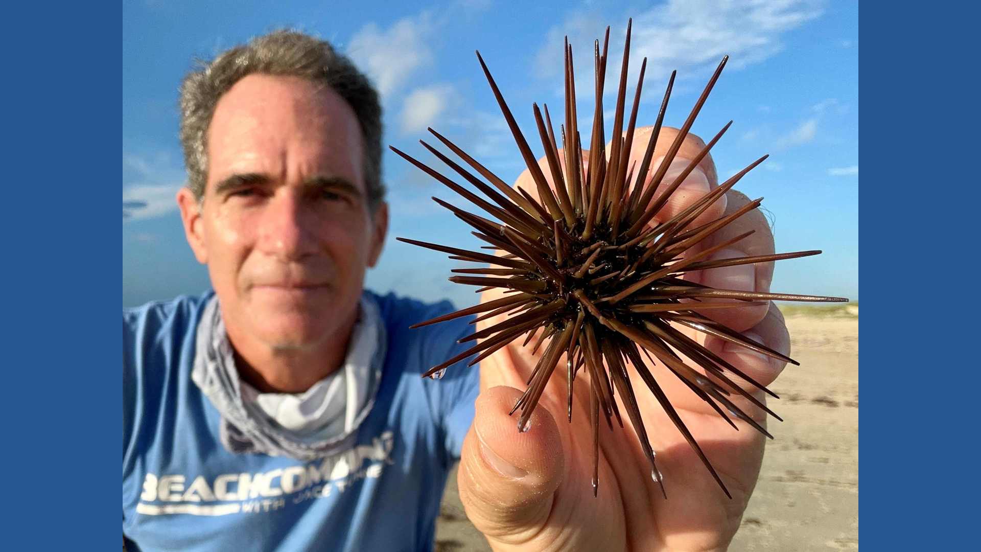 Free beach treasure hunt coming to Corpus Christi with shells, sea ...