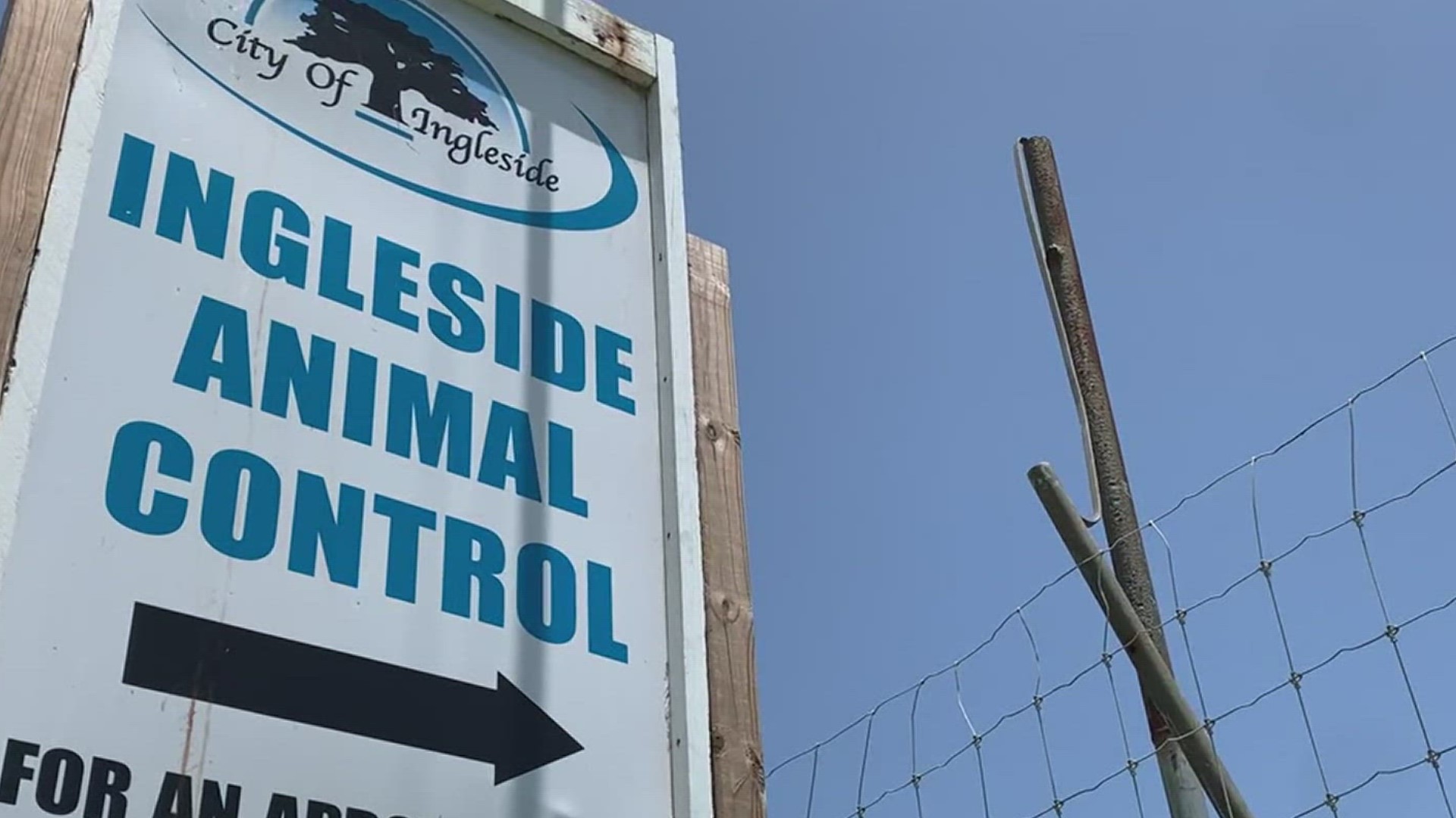 After Hurricane Harvey in 2017, the city was without an animal shelter, something Ingleside Police Chief Tammy Burr said the city was in need of.