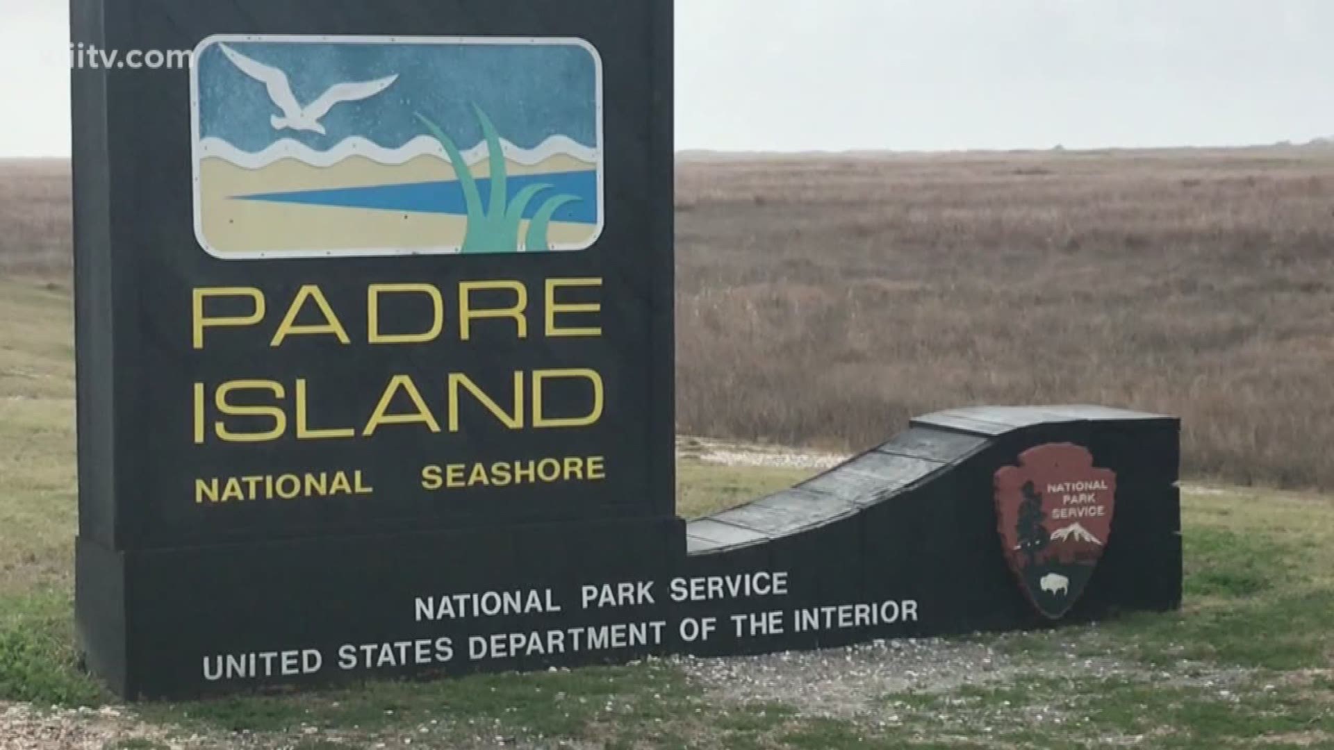 On this day in history, the Padre Island National Seashore was dedicated by Mrs. Lyndon B. Johnson.