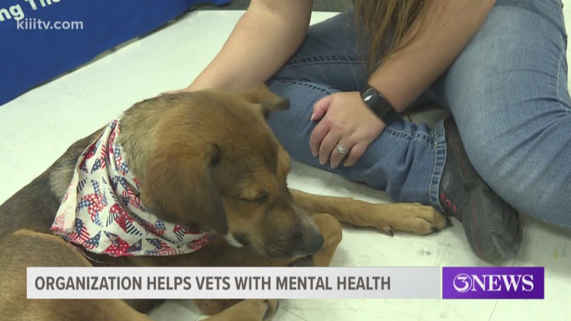 Improving the lives of area veterans by pairing them up with pets was the goal of two Corpus Christi organizations Friday.