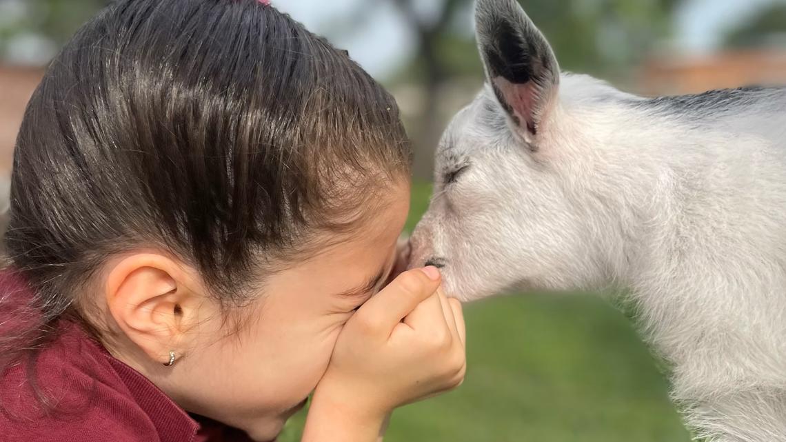Texas A&M University-Kingsville turning into a zoo Tuesday