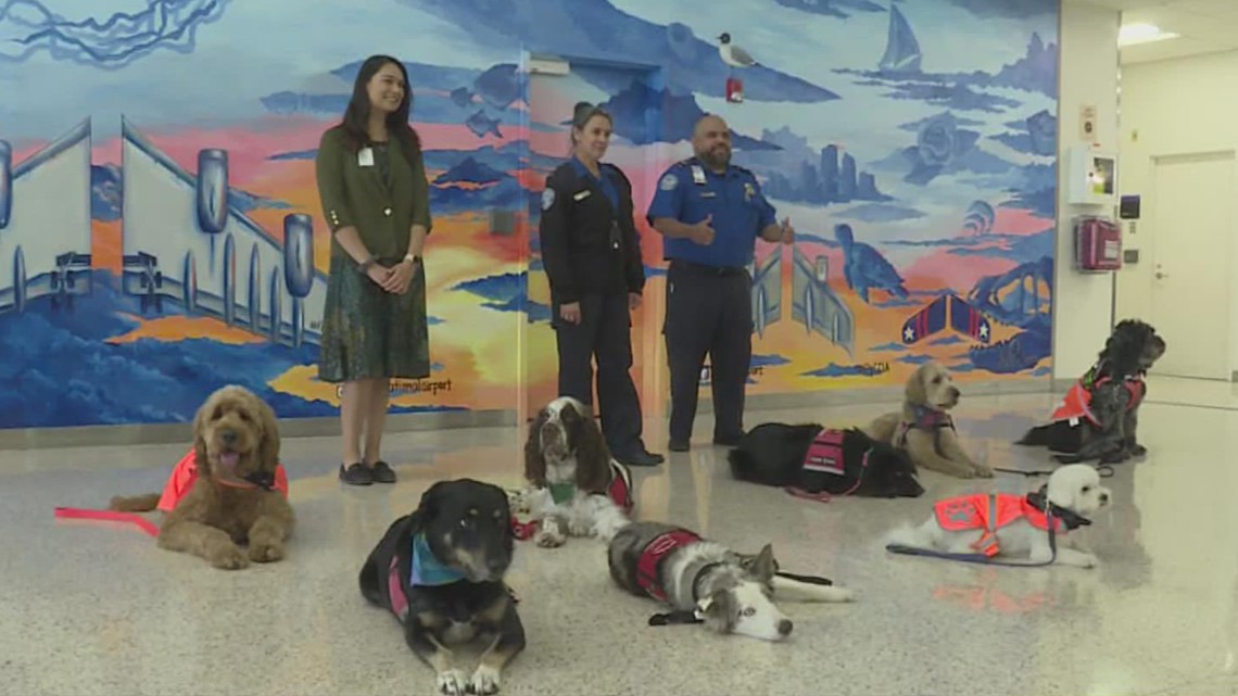 Corpus Christi International airport therapy dogs Pet This