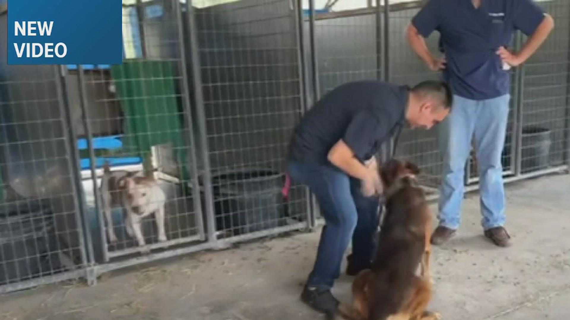 The two were reunited Wednesday after Brooks County Sheriff Benny Martinez made the decision that Echo was better off with his handler, former deputy John Gomez.