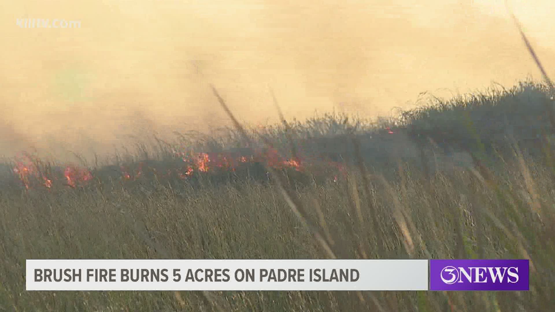 Nueces County ESD #2 posted a video of the fire on Park Road 22 to their Facebook page this morning.