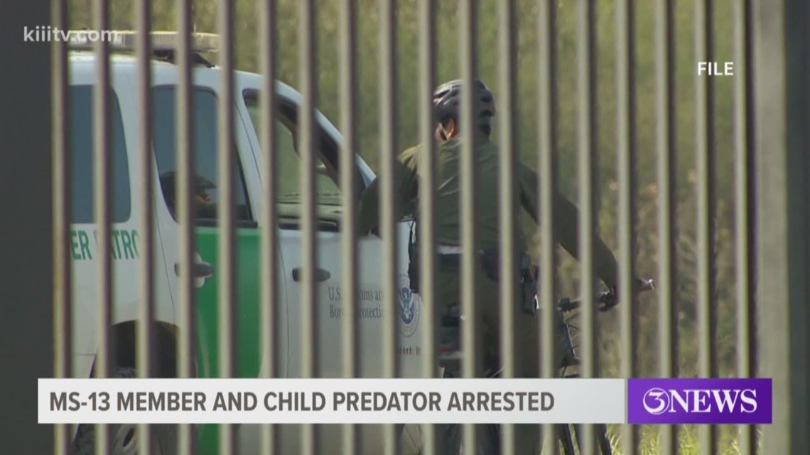 Border Patrol agents in the Rio Grande Valley have made a couple of arrests in recent days involving a gang member and child predator.