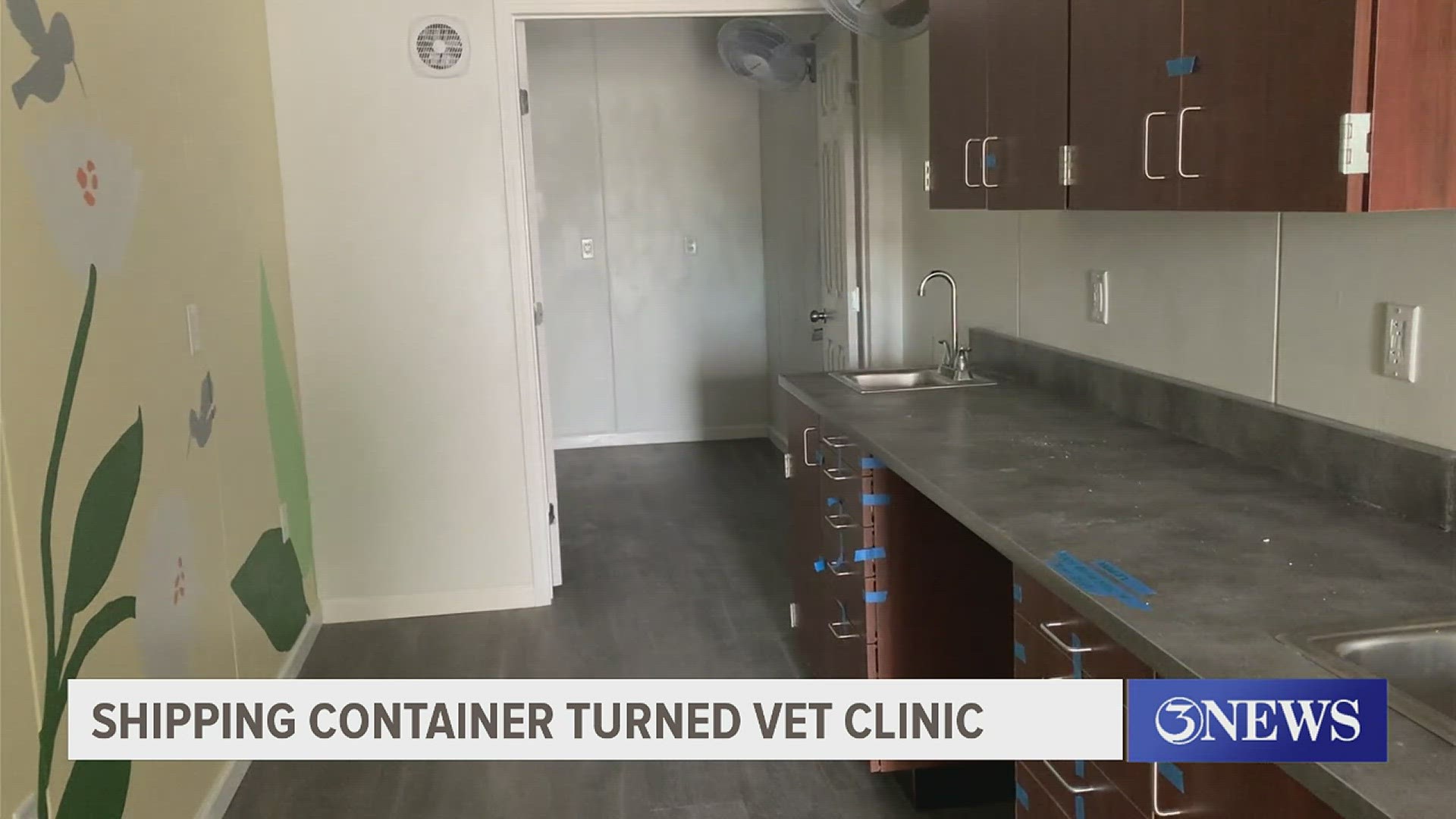 The clinic will be used to perform spay and neuter procedures to help control the local stray population.