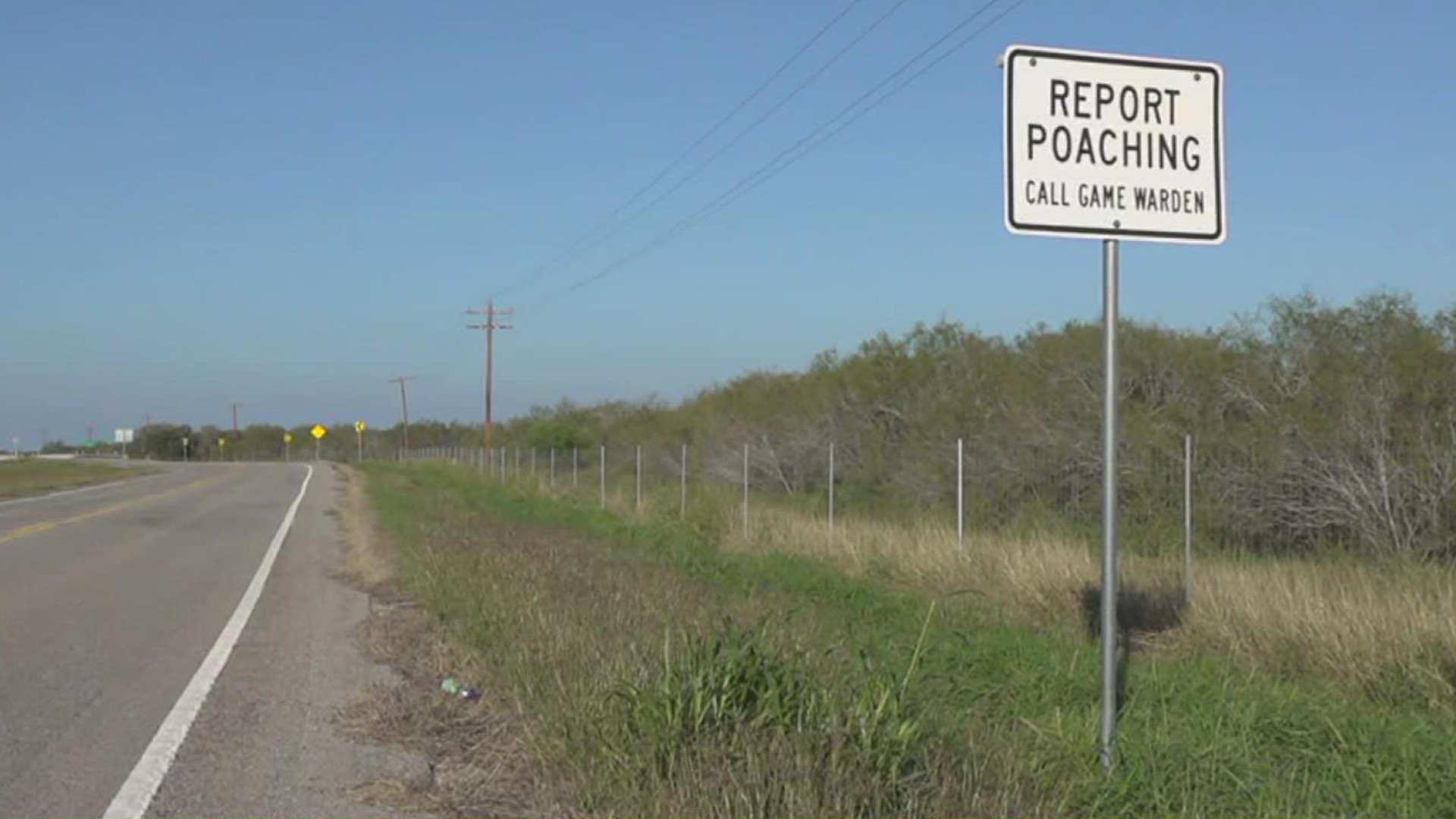 Officials in Agua Dulce are warning poachers about the consequences they could face after body cam footage shows one being arrested along County Road 44.