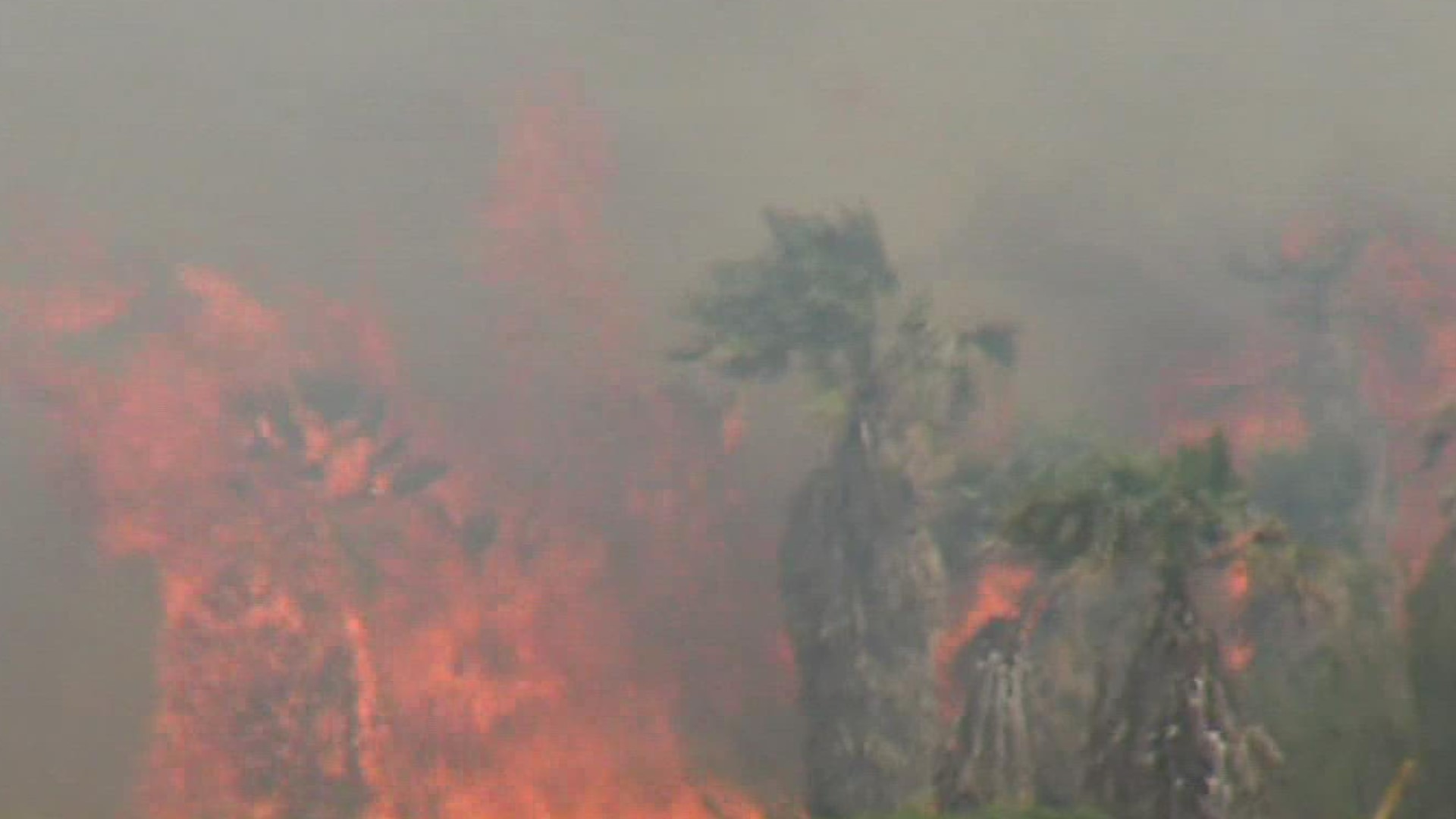 The fire ignited near a palm tree farm and area fire crews are stationed to help protect nearby homes.