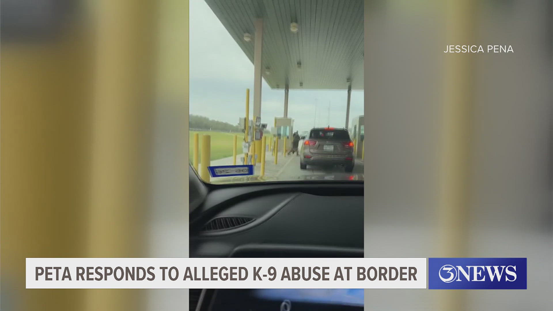 PETA responds to alleged K-9 abuse at border checkpoint | kiiitv.com