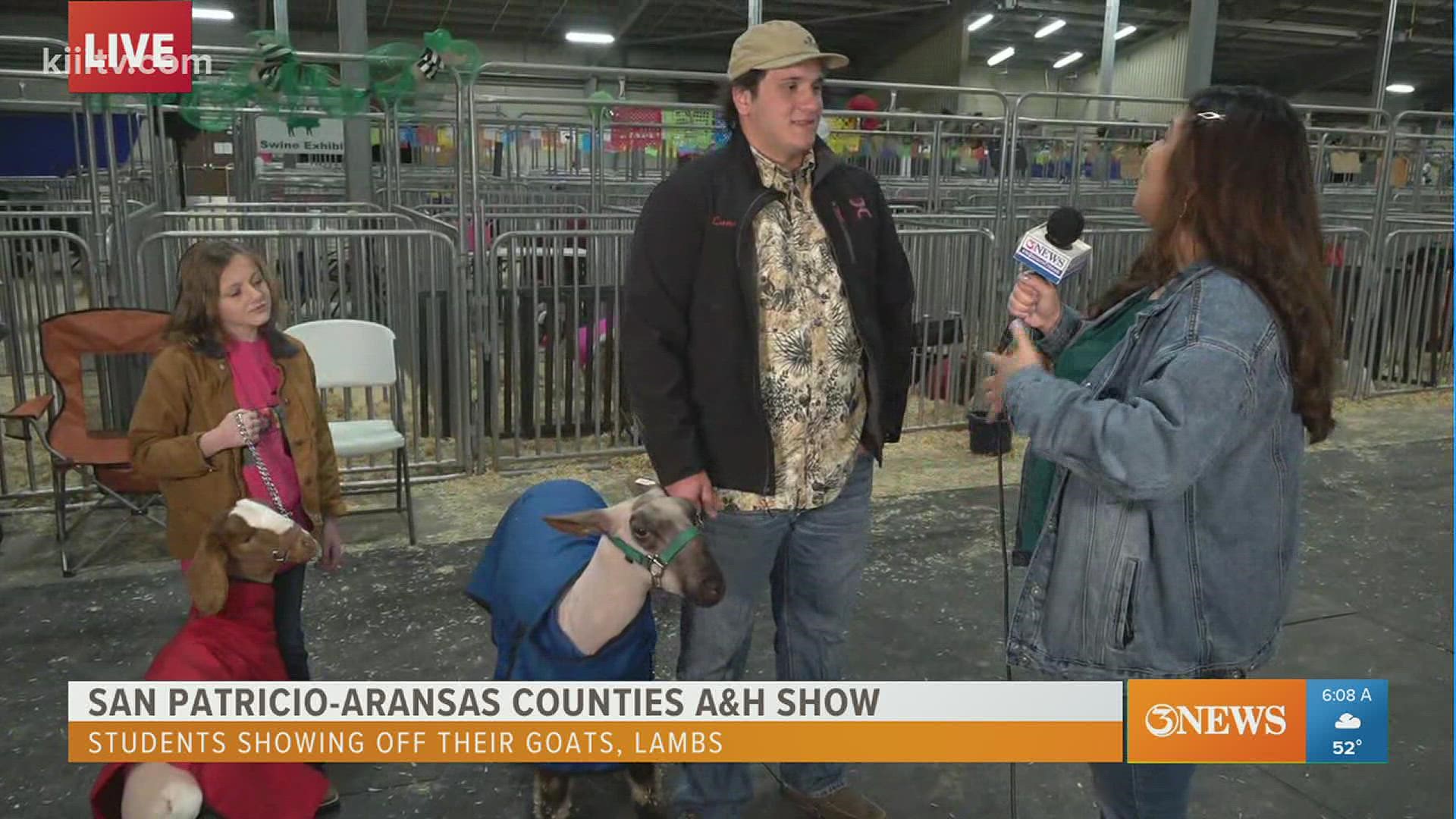 Our Julissa Garza joins us live from the fairgrounds with a look at some of the animals for judging.