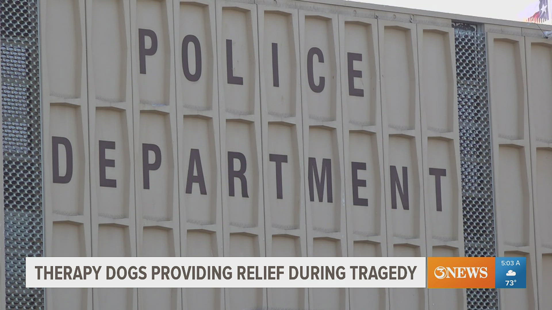 Go Team therapy dogs were at the CCPD Headquarters Wednesday night to provide relief to officers.