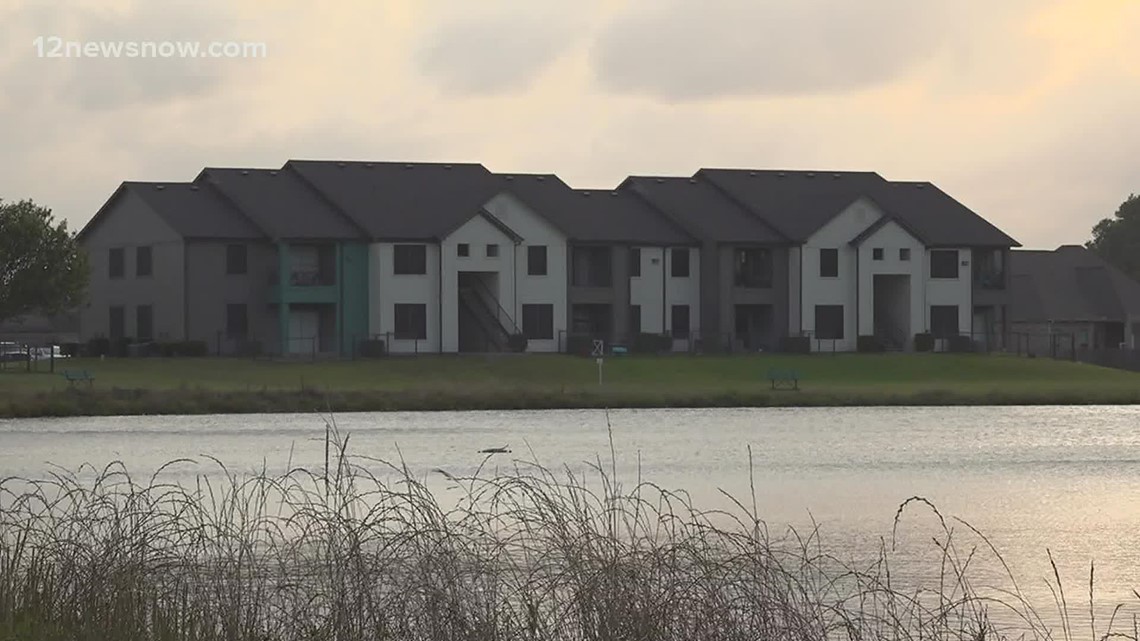 8-foot-long gator seen in the pond of Beaumont apartment complex - Vimarsana News