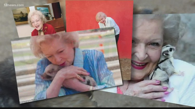Here's how you can support local animals in honor of Betty White's 100th birthday