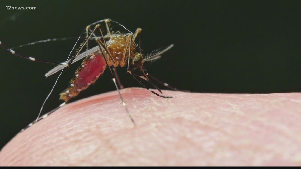 West Nile Death Corpus Christi - Vimarsana News