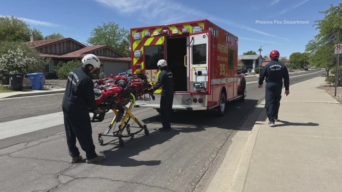 Hiker in critical condition after being stung more than 100 times by bees in Arizona