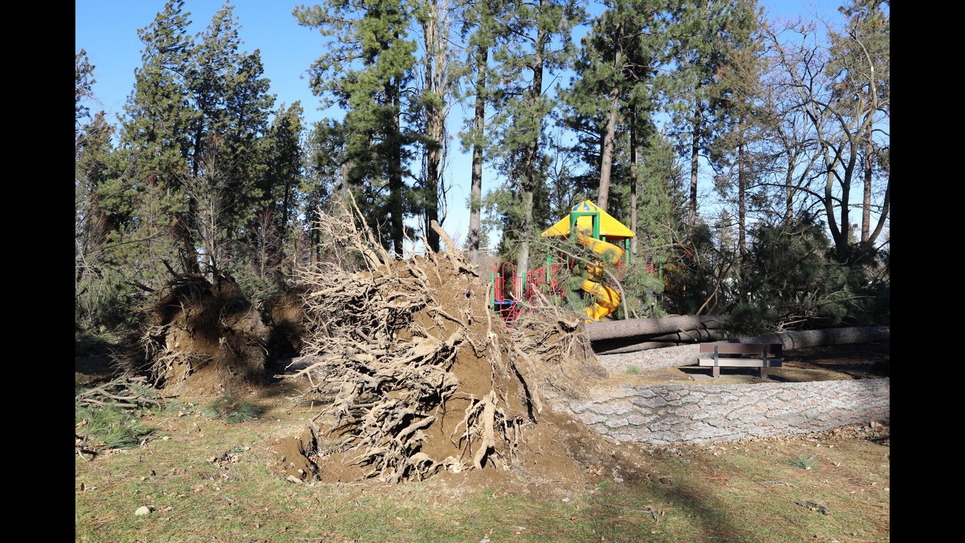 Spokanearea windstorm leaves 2 dead, another injured