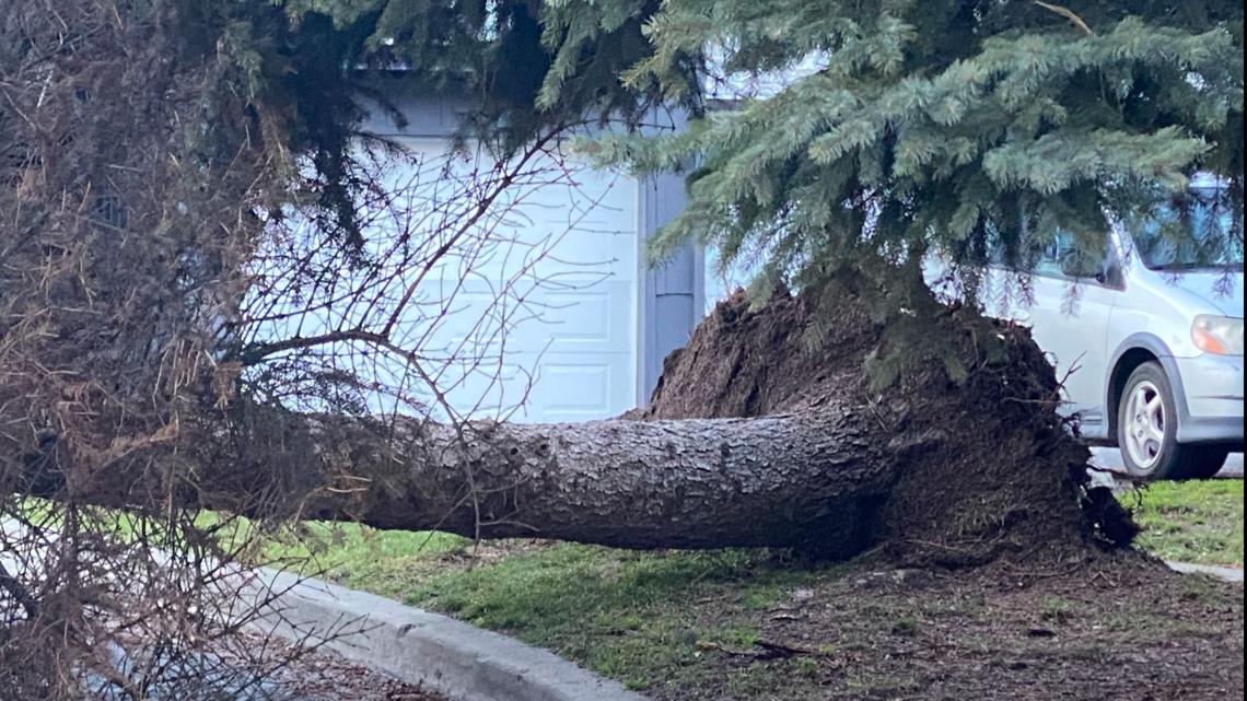 Spokanearea windstorm leaves 2 dead, another injured