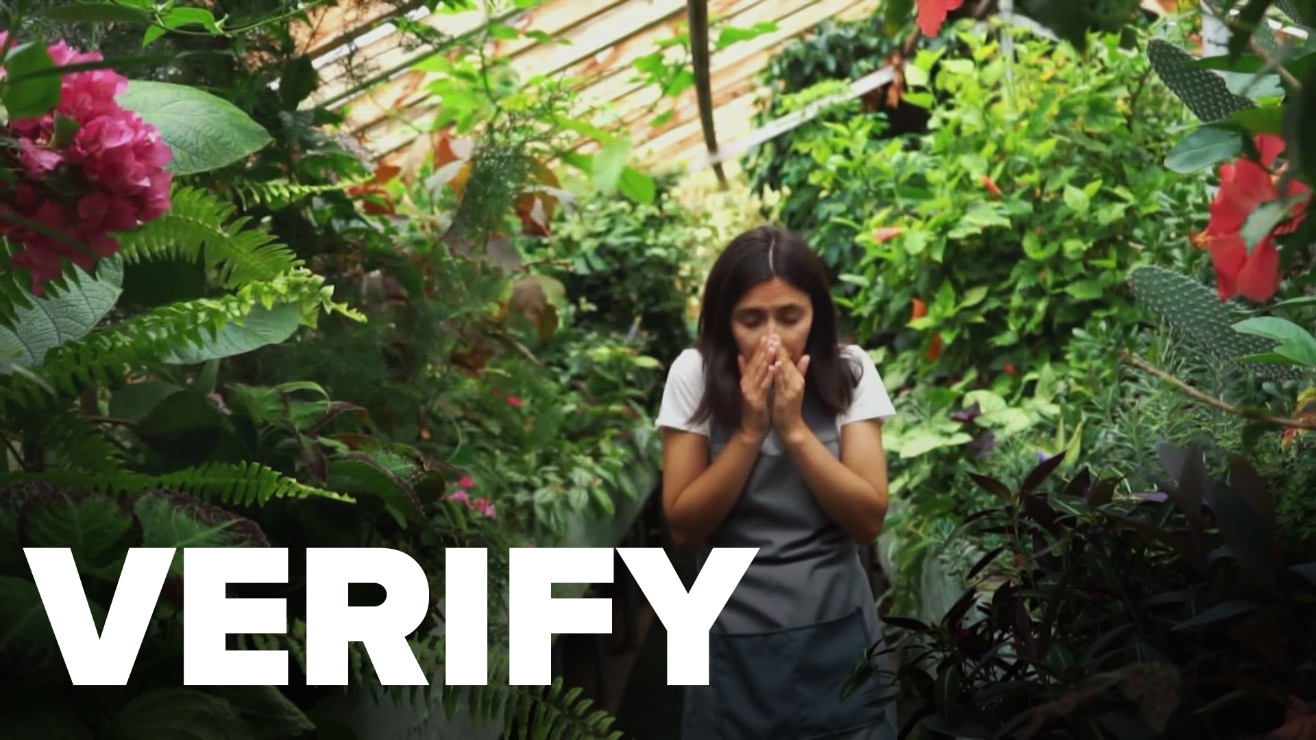 Does your heart stop when you sneeze? | VERIFY | kiiitv.com