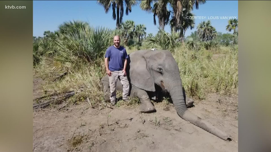 Viewpoint: Studying the tuskless elephant phenomenon - Vimarsana News