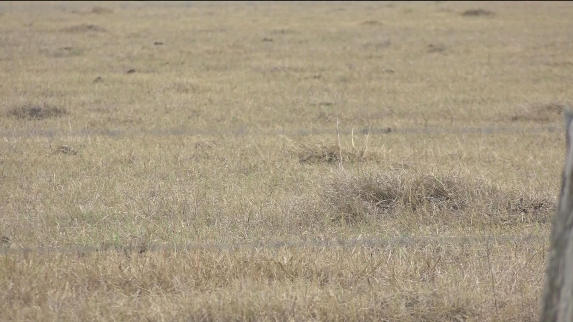 Texas continues to face a historic drought. And a new report by the Texas Department of Agriculture now links climate change with food insecurity.