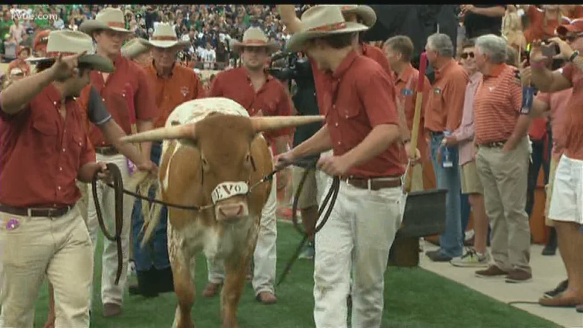 We did some digging and looked into the history of how Texas' beloved mascot got his name.