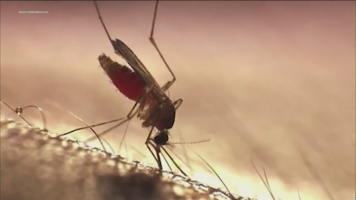 Positive West Nile virus samples found in Central Texas - Vimarsana News