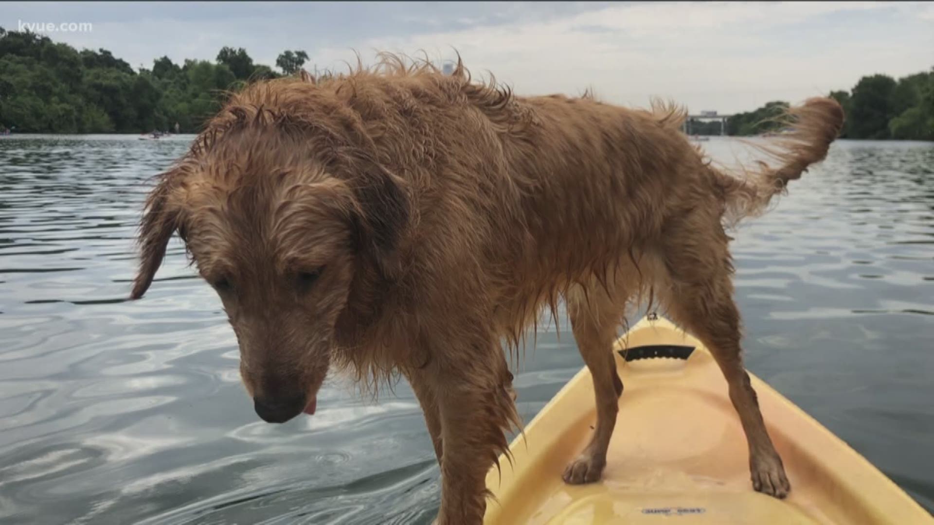 Red Bud Isle in West Austin is closed until further notice.