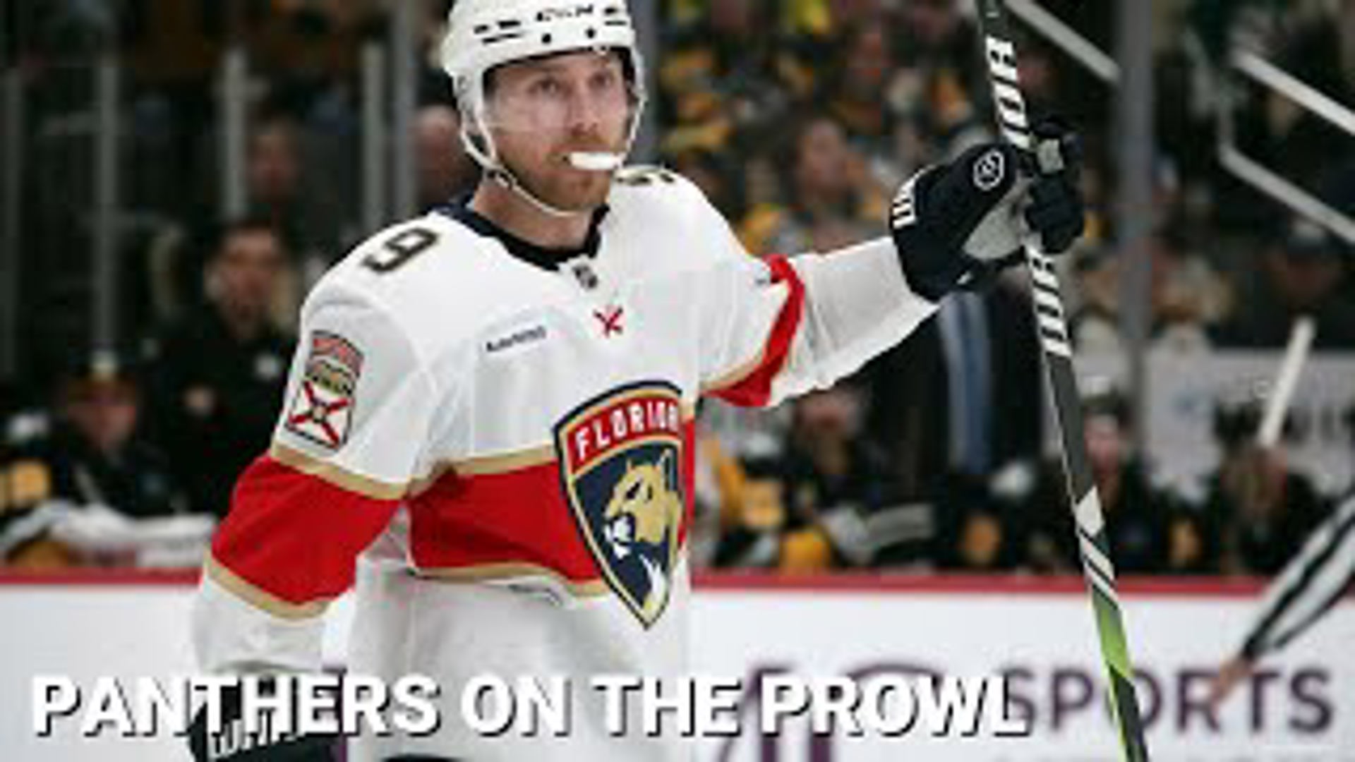 The Florida Panthers Fight for First Place as They Seek More ...