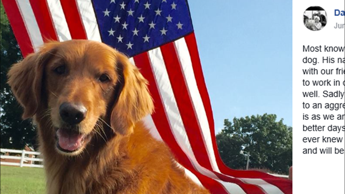 Dog who played 'Duke' in Bush's Baked Beans ads dies