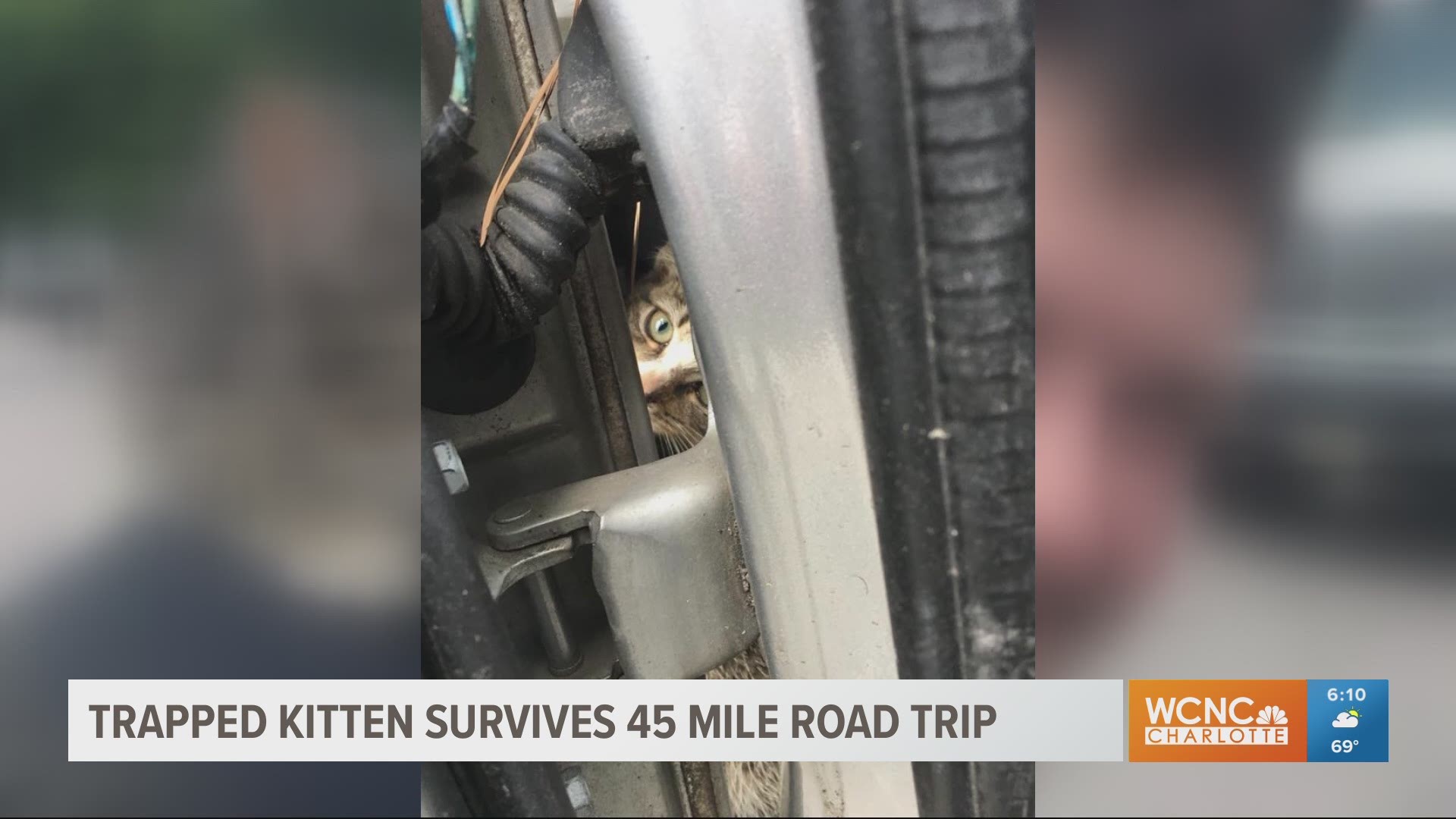 A Virginia woman said she had no clue a kitten was stuck in the fender wall of her minivan during her 45-mile road trip.