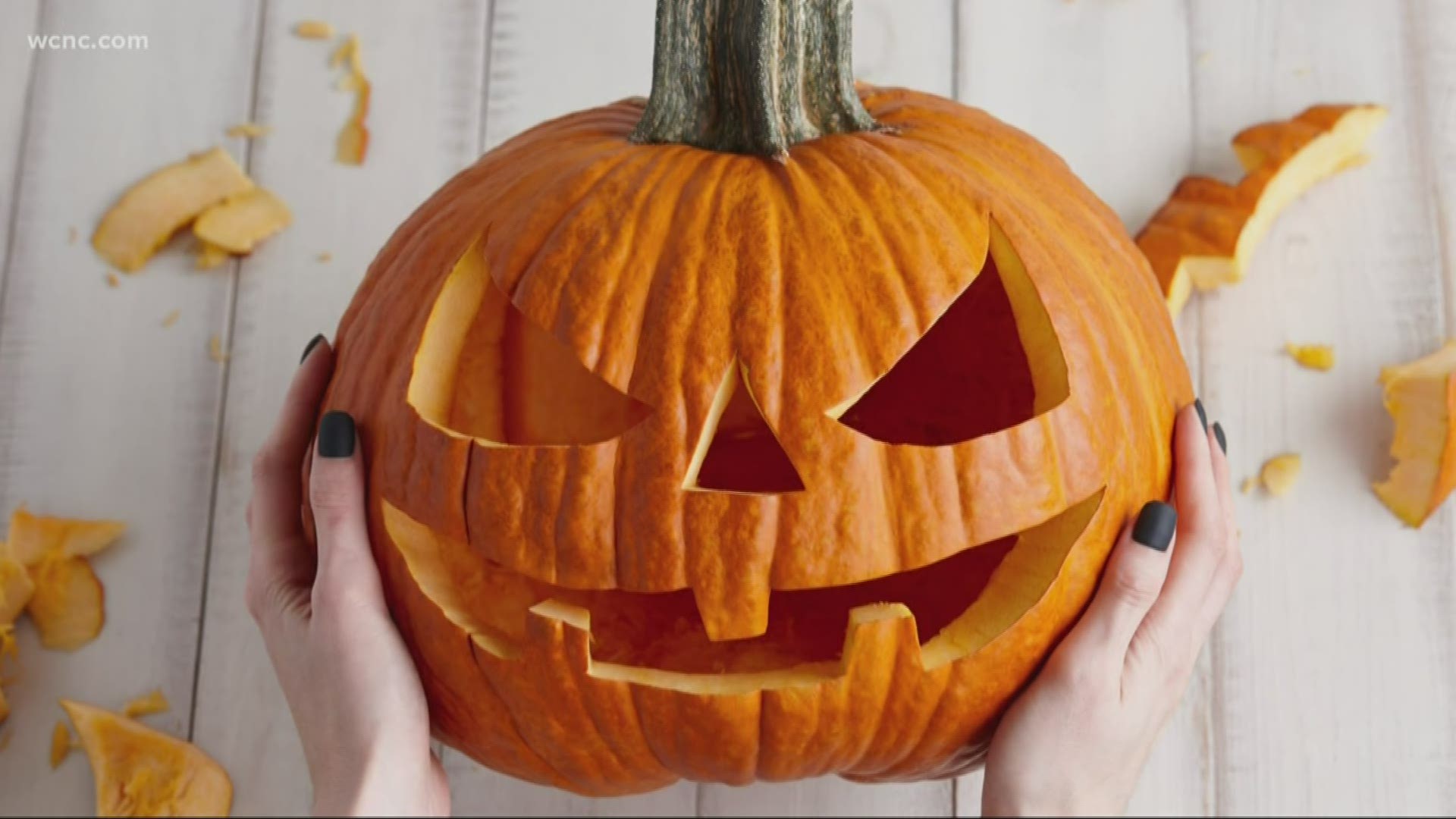Simple tips to keep carved Halloween pumpkins fresh