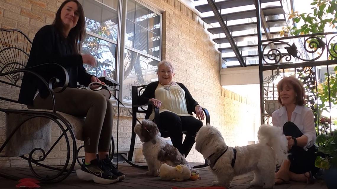 'They just melt my heart': This 81-year-old Dallas woman just wanted to pet a dog. Hundreds of people stepped up to help - Vimarsana News
