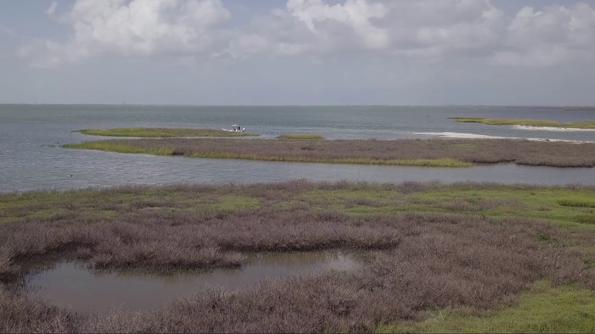 The Texas Gulf is a major economic engine for the state and country. It is threatened by rising sea level, acidifying ocean water and permanent loss of coastline.