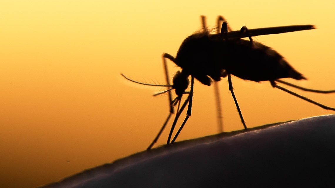 Mosquito Spraying Schedule in the Coastal Bend - Vimarsana News