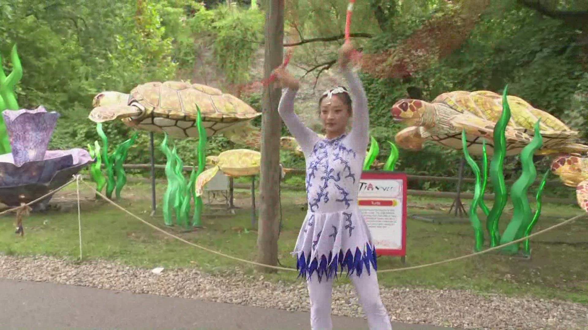3News Digital Anchor Stephanie Haney reports live from the Cleveland Metroparks Zoo, where the Asian Lantern Festival, back for its fifth year, runs until August 21.