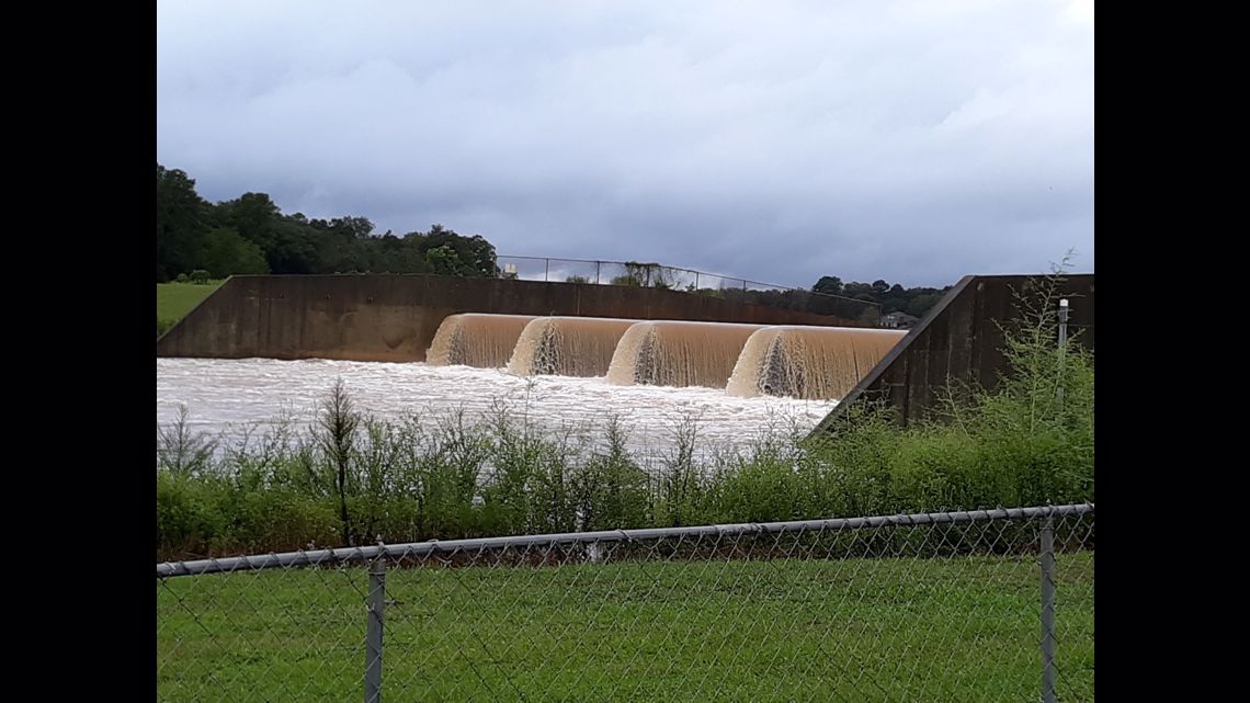 Central Georgia Tropical Depression Sally damage reports | kiiitv.com