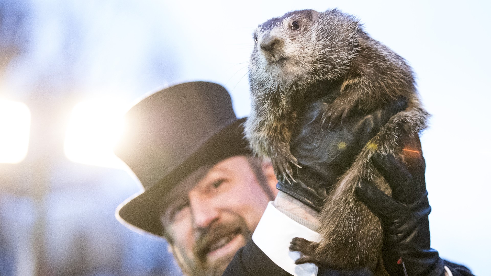 Punxsutawney Phil did not die just before Groundhog Day