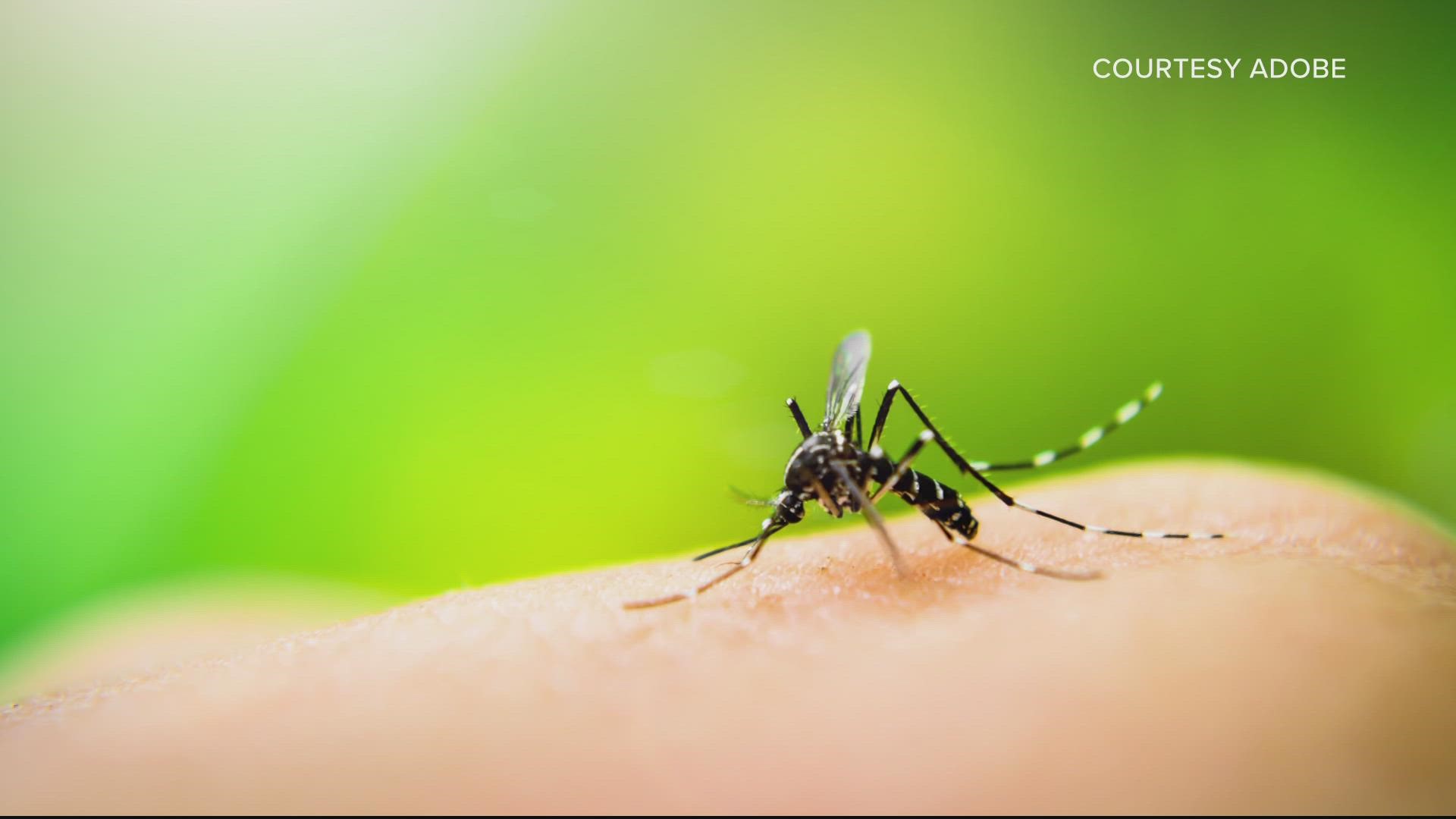 Mosquitoes do not die in winter, they go into hibernation. So no, cold weather does not kill all mosquitoes.